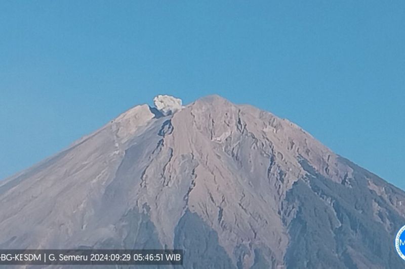 Erupsi Gunung Semeru Capai 500 Meter, Waspada untuk Masyarakat