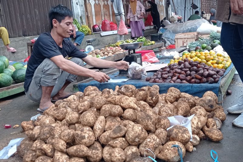 Pedagang pengecer ubi jalar di Pasar Rangkasbitung yang dipasok dari Pandeglang dan banyak permintaan konsumen.ANTARA/Mansyur