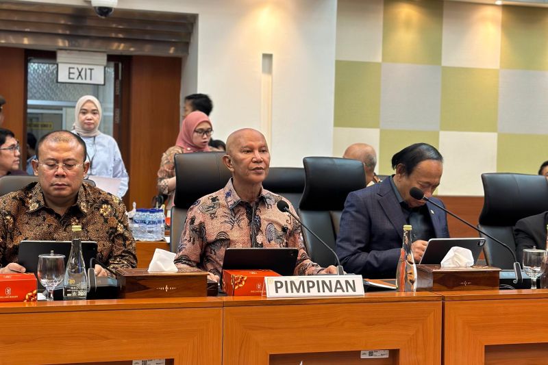 Pentingnya Peningkatan Kapasitas Anggota Banggar DPR untuk Efektivitas Anggaran