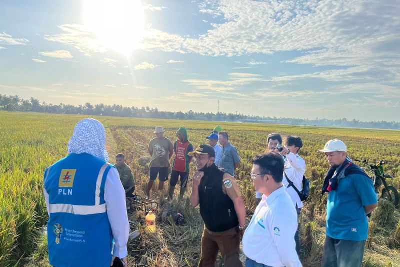Ilustrasi. Manajemen PLN tengah berdialog dengan petani di Desa Saruran, Kabupaten Enrekang, Sulsel terkait manfaat aliran listrik bagi kemajuan produktivitas petani. ANTARA/HO-Humas PLN