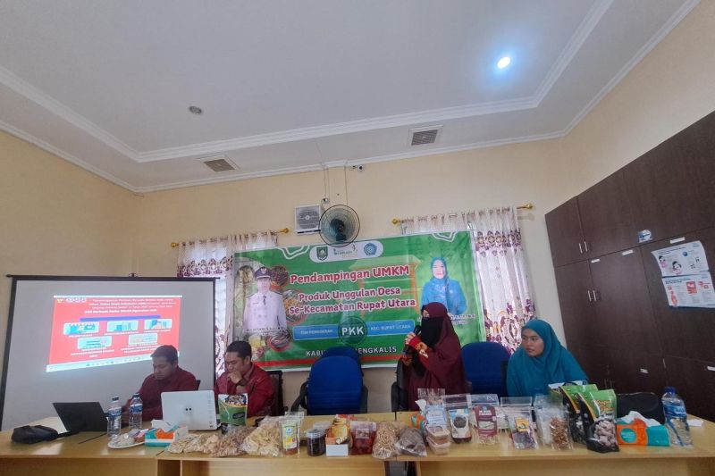 Pendampingan DPMPTSP Bengkalis untuk UMKM dalam Izin Usaha