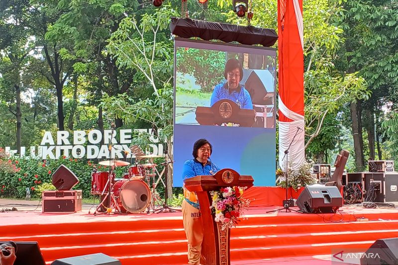 Penurunan Signifikan Kebakaran Hutan dan Deforestasi di Indonesia