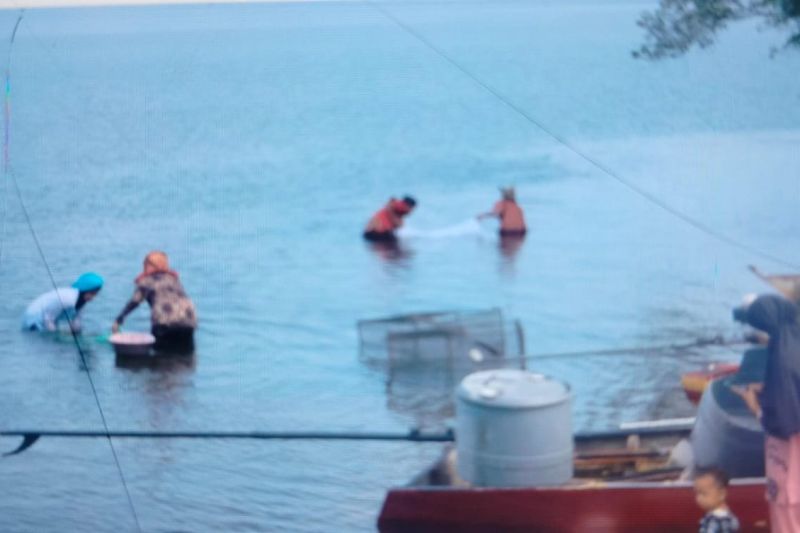 Lomba Pacu Biduak dan Manangkok Rinyuak Tarik Wisatawan ke Danau Maninjau