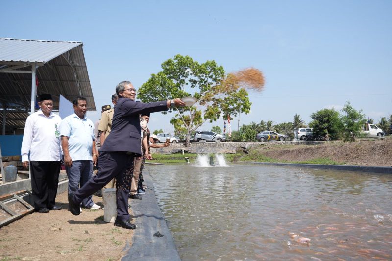 Penerapan Teknologi Tepat Guna Tingkatkan Budidaya Ikan di Sleman