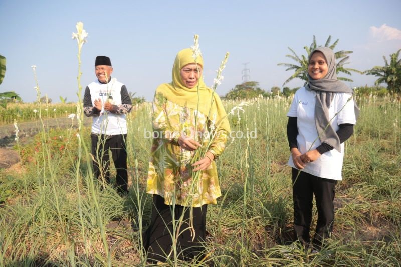 Jumlah Petani Milenial Jatim Tertinggi di Indonesia, Potensi Pasar Besar