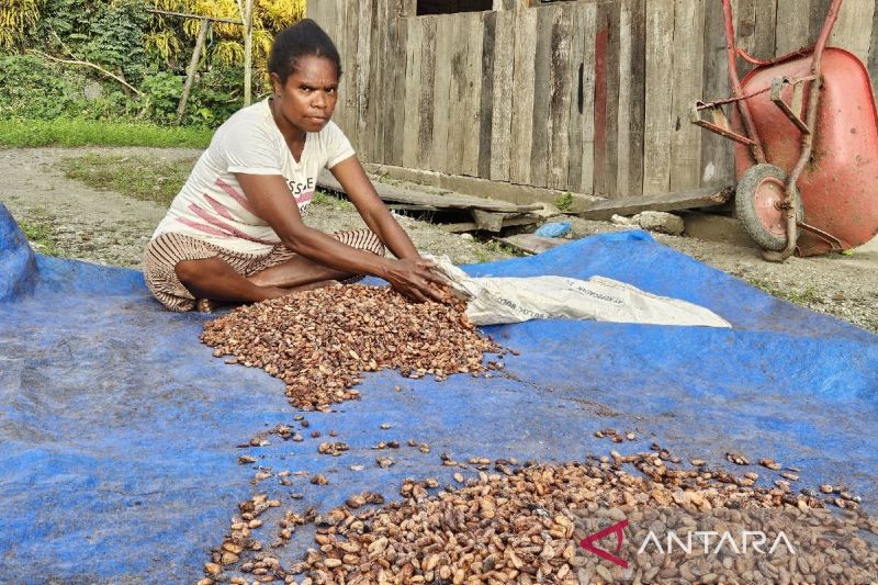 Upaya Peningkatan Pendapatan Asli Daerah di Papua oleh DJPb
