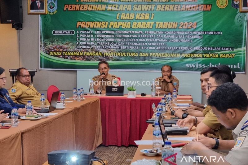 Papua Barat Siapkan Rencana Aksi Perkebunan Sawit Berkelanjutan