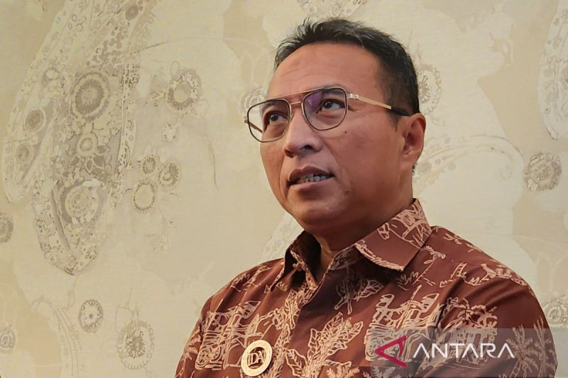 Ketua Umum IDAI Piprim Basarah Yanuarso (ANTARA/IC Senjaya)