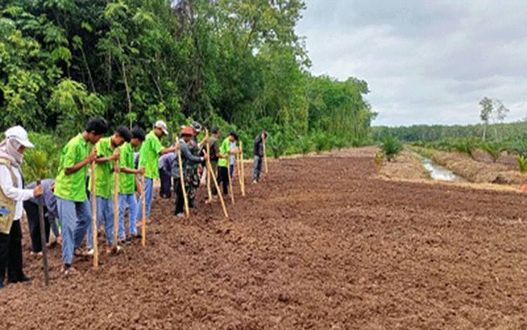 Tanam padi gogo di lahan kelompok tani Kalampan Jaya di Desa Anjir Kalampan KM 4, Kecamatan Kapuas Barat. (FOTO: IST)?