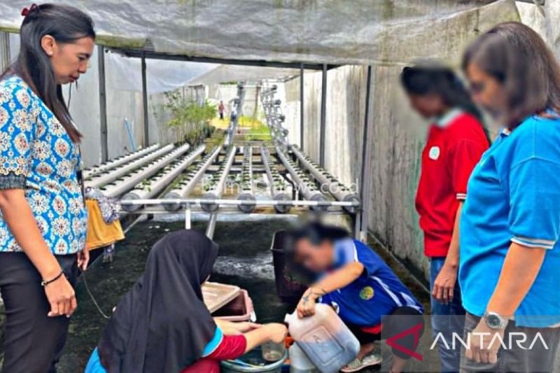 Pelatihan Hidroponik di LPP Ambon Langkah Membangun Kemandirian