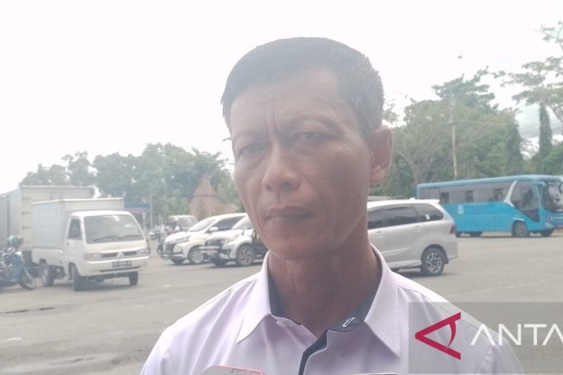 Pemerintah Jayapura Ajak Warga Tanam Cabai untuk Stabilisasi Harga
