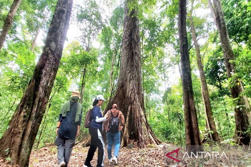 Bandara Syamsudin Noor Dukung Promosi Geopark Meratus di Kalsel