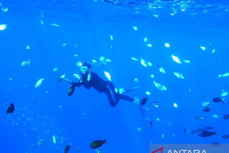 Pemerintah Kabupaten Bone Bolango Siapkan Penataan Taman Laut Olele