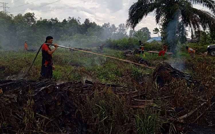 175 Kasus Karhutla Terjadi di Palangka Raya Sepanjang Januari-September, 75,22 Hektare Terbakar