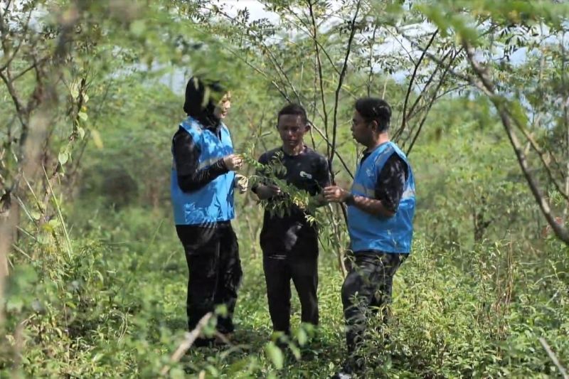 Pengembangan Biomassa di Tasikmalaya, Dorong Ekonomi Berkelanjutan
