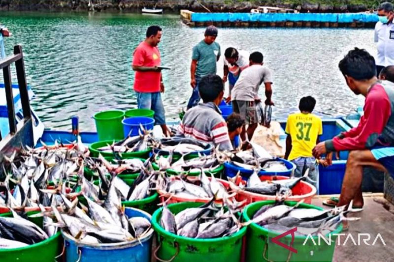 Komoditas perikanan dari nelayan yang siap dipasarkan di Ambon, Maluku. ANTARA/HO-DKP Maluku