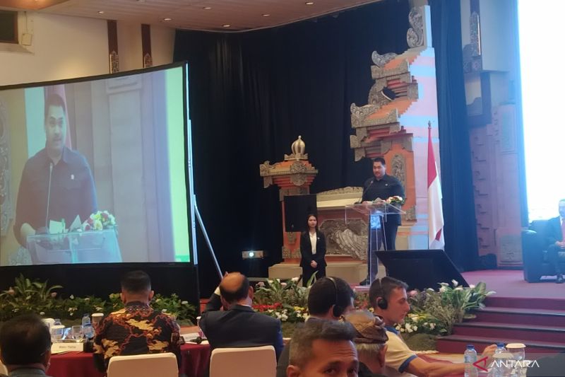 Indonesia Jadi Proyek Percontohan Perangi Terorisme Lewat Olahraga