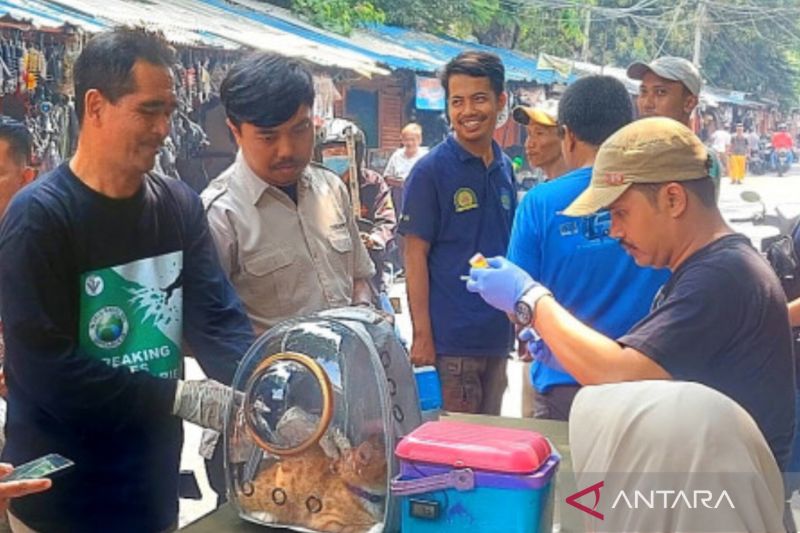 Vaksinasi HPR Jakarta Pusat untuk Pertahankan Status Bebas Rabies