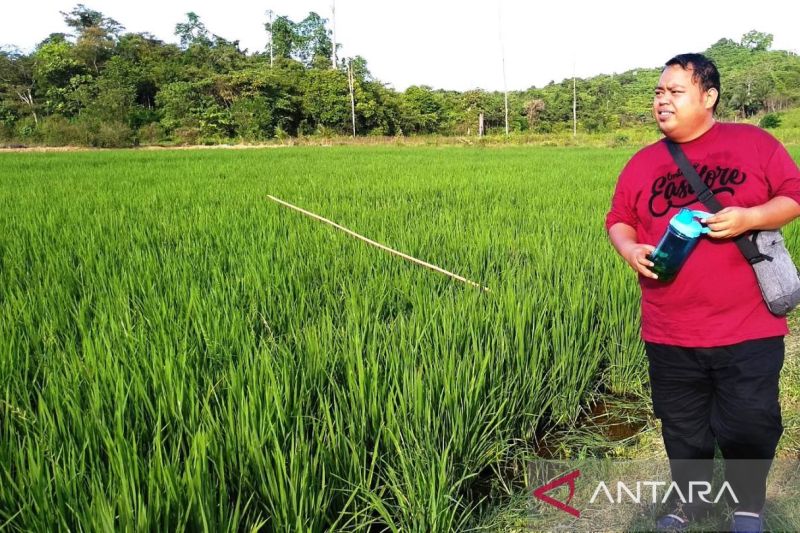 Kenaikan Nilai Tukar Petani Kaltim Tandakan Kesejahteraan Meningkat