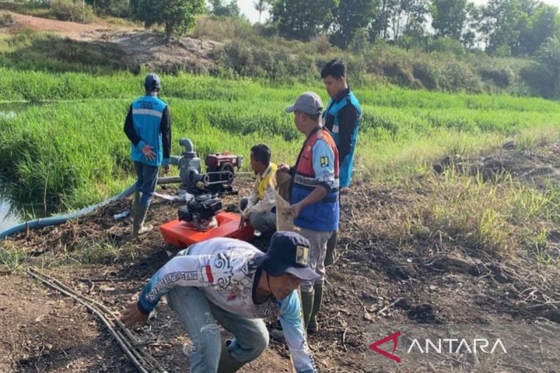 Upaya Pemprov Kalsel Cegah Karhutla Dekat Bandara Syamsudin Noor