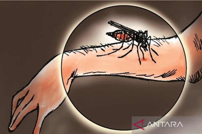 Pemerintah Inderagiri Hilir Tetapkan KLB Malaria di Kuala Selat