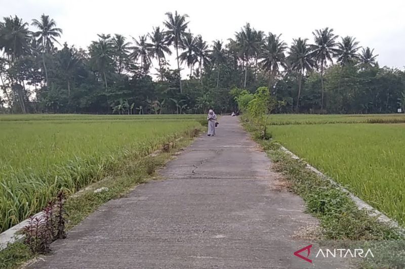 Penyaluran Dana Desa di Kudus, Jepara dan Demak Capai Rp506,83 Miliar