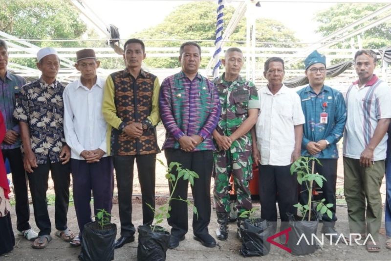 Pemkot Bima Bagikan 2.000 Bibit Tanaman untuk Cegah Inflasi dan Stunting