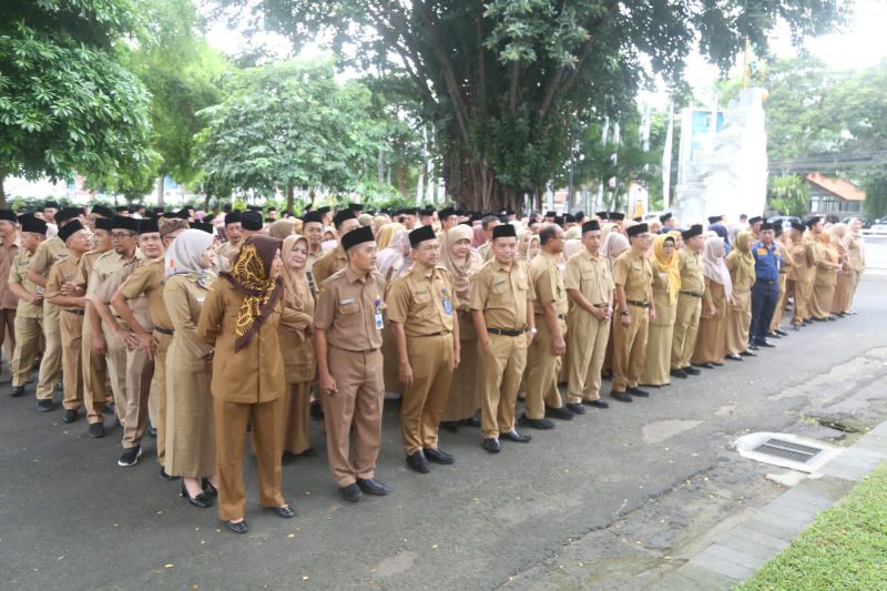 Seleksi PPPK Banyuwangi Dibuka untuk 614 Formasi Tenaga Kerja