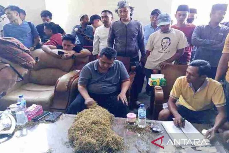 Temukan Pelanggaran Pengambilan Sampel Tembakau di Pamekasan