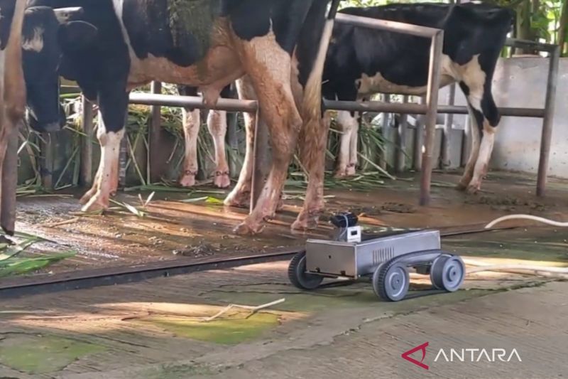 Inovasi Mas-Tion Deteksi Dini Mastitis Sapi dengan Teknologi IoT