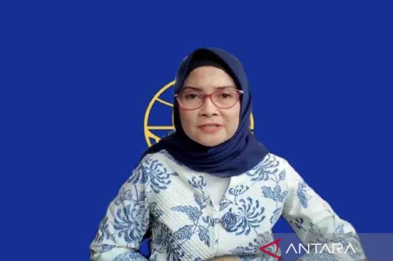 Kemenhub Dukung DAK untuk Transportasi Umum di Daerah Terpencil