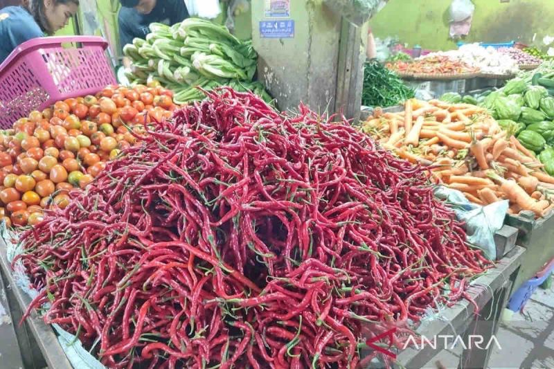 Ini Harga Komoditas di Kobar dari Data Disperindagkop UKM per 18 November 2024