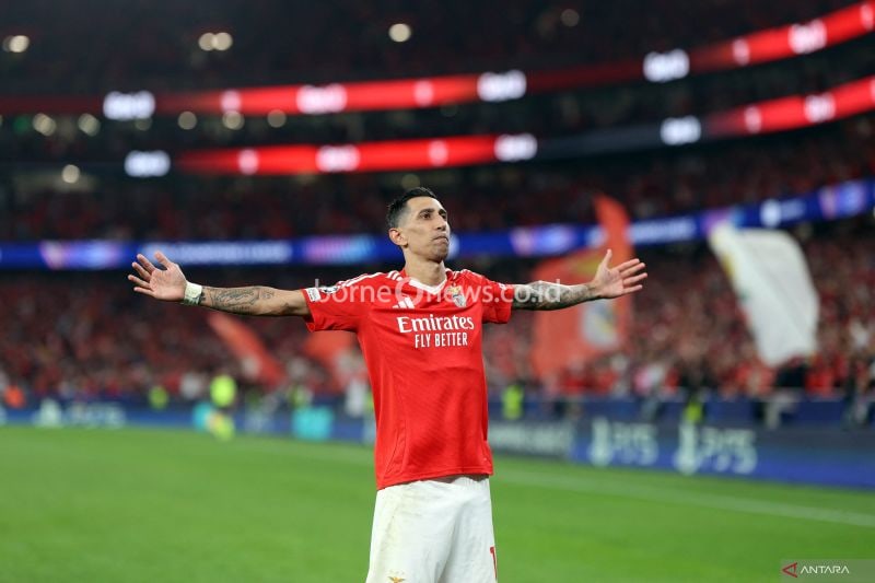Hasil Liga Champions, Benfica Menang Besar atas Atletico Madrid