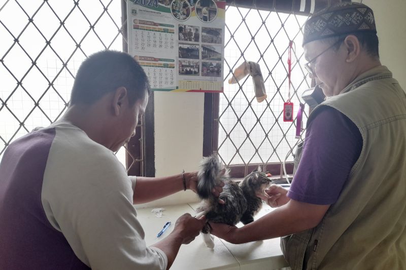 Vaksinasi Rabies Gratis di Banten Targetkan 100 Dosis untuk Warga