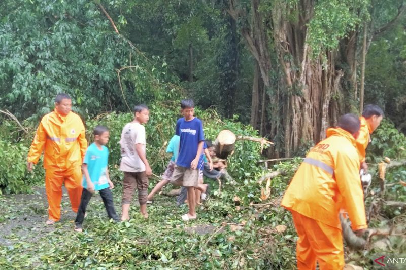 Waspada Banjir dan Tanah Longsor di OKU Selatan Musim Hujan