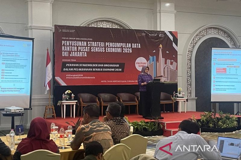Deputi Bidang Statistik Distribusi dan Jasa BPS RI, Pudji Ismartini dalam acara forum group discussion (FGD) penyusunan strategi pengumpulan data kantor pusat sensus ekonomi 2026 DKI Jakarta di Tavia Heritage Hotel, Cempaka Putih, Kamis (3/10/2024). (ANTARA/Lifia Mawaddah Putri)