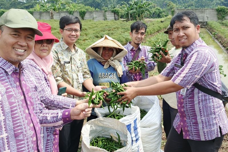 Upaya DKP Tangerang Tingkatkan Produktivitas Petani untuk Kendalikan Inflasi