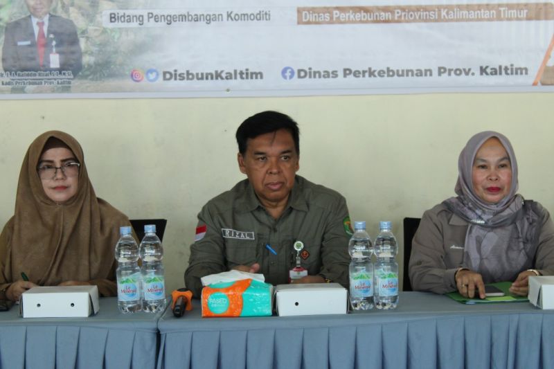 Pengembangan Perkebunan Kelapa Sawit Berbasis Korporasi di Paser