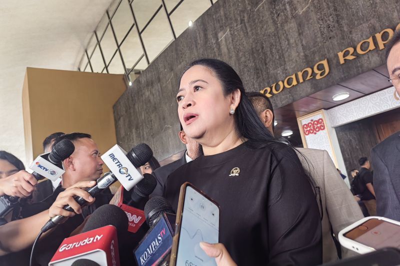 Puan Maharani Sebut Nasi Goreng Mungkin Disajikan Lagi pada Pertemuan Megawati-Prabowo
