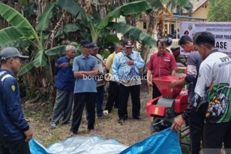 Para peternak mendapatkan pelatihan cara memproduksi pakan ternak alternatif melalui fermentasi (Silase) dari materi rerumputan (hijauan) di Kecamatan Tanjung Selayar Kabupaten Kotabaru, Kalimantan Selatan, Kamis (3/10/2024). (ANTARA/HO-DKPP Kotabaru)