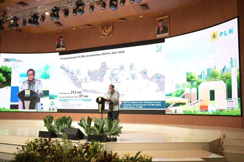 Dukungan Regulasi Penting untuk Percepatan Pengembangan Biomassa