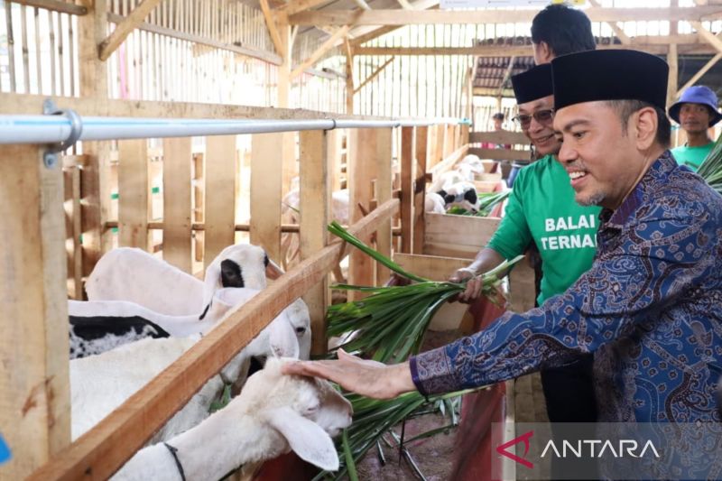 Baznas Luncurkan Balai Ternak di Tegal untuk Tingkatkan Kesejahteraan Peternak