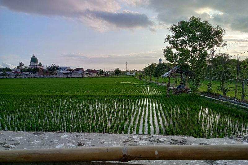 Pemkot Mataram Salurkan 83 Mesin Pompa Air untuk Petani