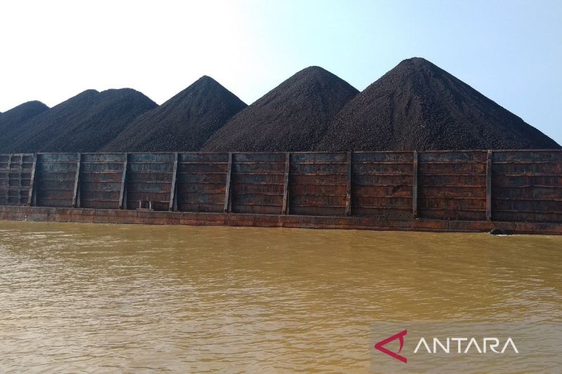 Batu bara di atas ponton di Sungai Mahakam, Kaltim. Batu bara merupakan salah satu komoditas ekspor terbesar dari Kalimantan Timur. ANTARA/ M Ghofar