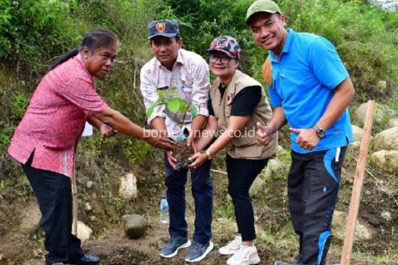 Pemerintah Samosir Tanam Ribuan Pohon untuk Cegah Bencana