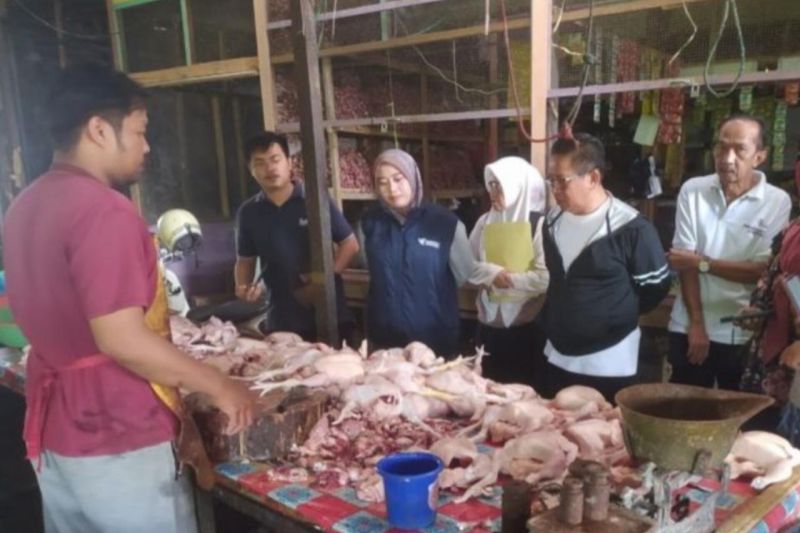 Satuan Tugas Pangan Kabupaten Tanah Bumbu memantau persediaan dan harga kebutuhan pokok jenis daging ayam di Pasar Ampera Kecamatan Simpang Empat, Kabupaten Tanah Bumbu, Kalimantan Selatan, Jumat (4/10/2024). (ANTARA/Sujud Mariono)