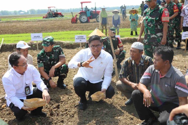 Pemerintah Fokus Atasi Akses Air Pertanian Demi Ketahanan Pangan