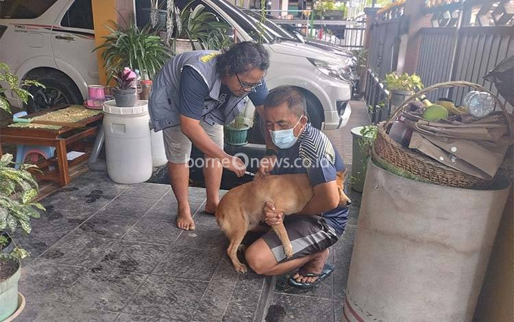 Populasi HPR di Palangka Raya Capai 10.162 Ekor, Vaksinasi Rabies Ditargetkan 80 Persen