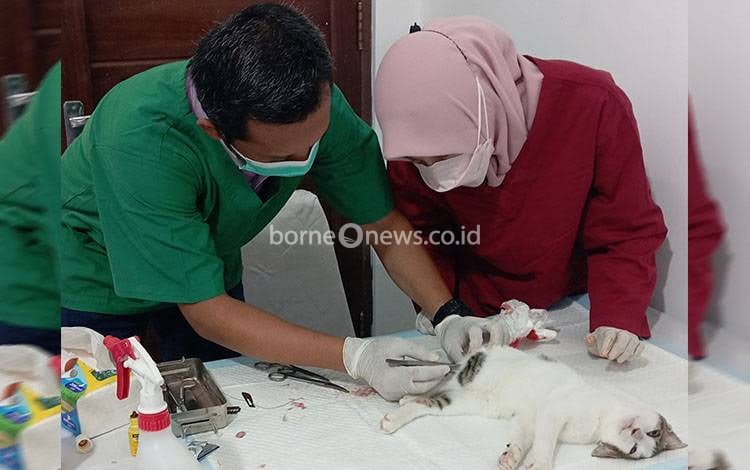 Capaian Vaksinasi HPR di Palangka Raya Hingga September Baru 51 Persen