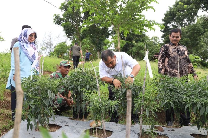 Pemanfaatan Lahan Kosong untuk Ketahanan Pangan di Aceh Besar